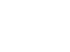 Army logo